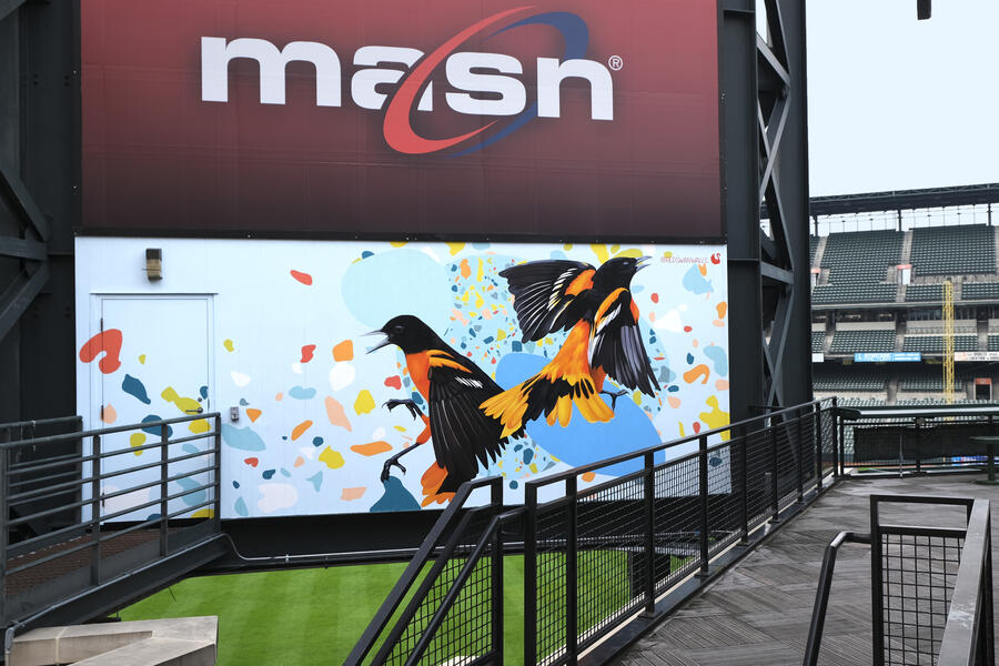 Camden Yards, Wide View