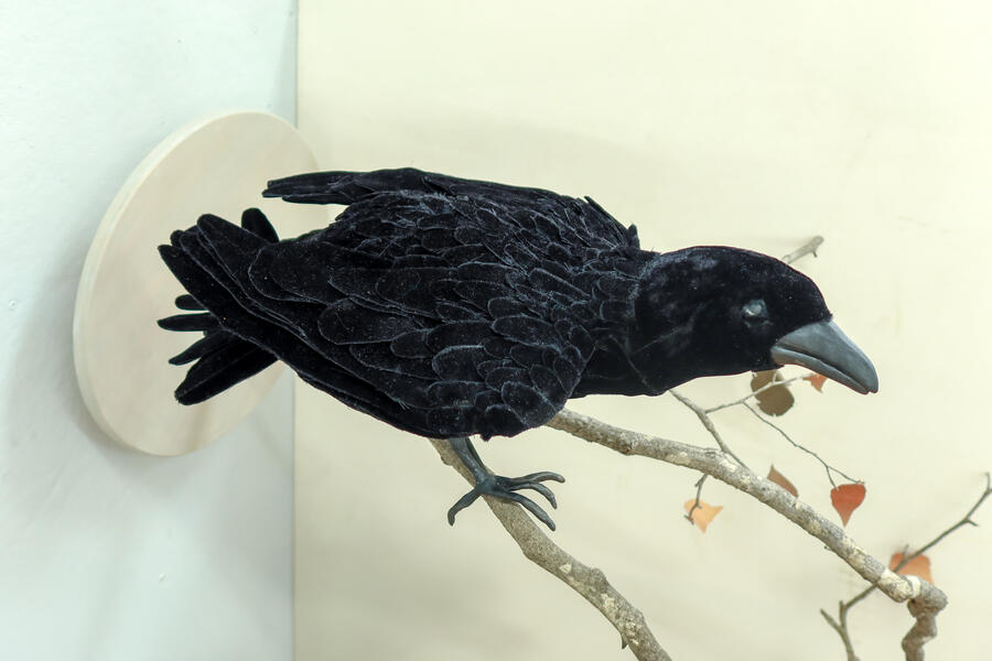 Crow
