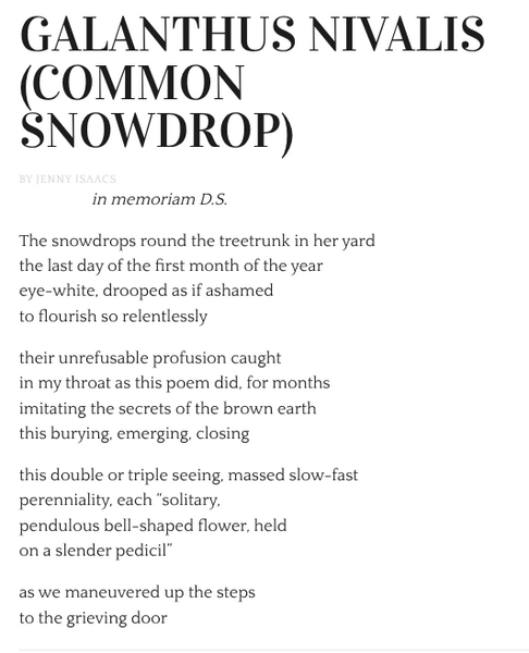 Galanthus nivalus (Common Snowdrop) - Thimble Literary Magazine, Vol. 8 No. 1 Summer 2025