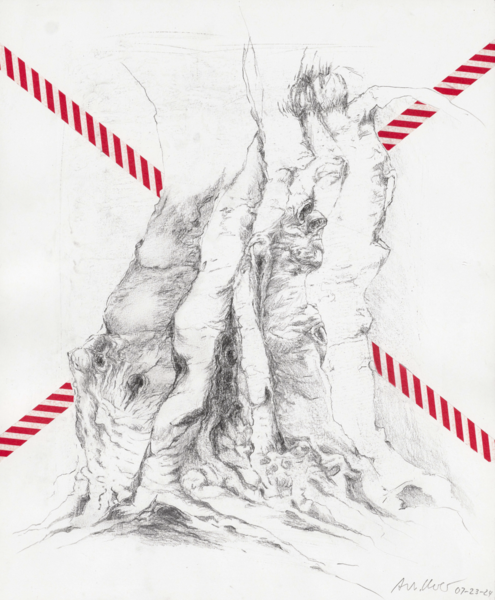 D'Ulivo Millenario 4