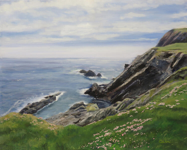 Sea Thrift at Sumburgh Head