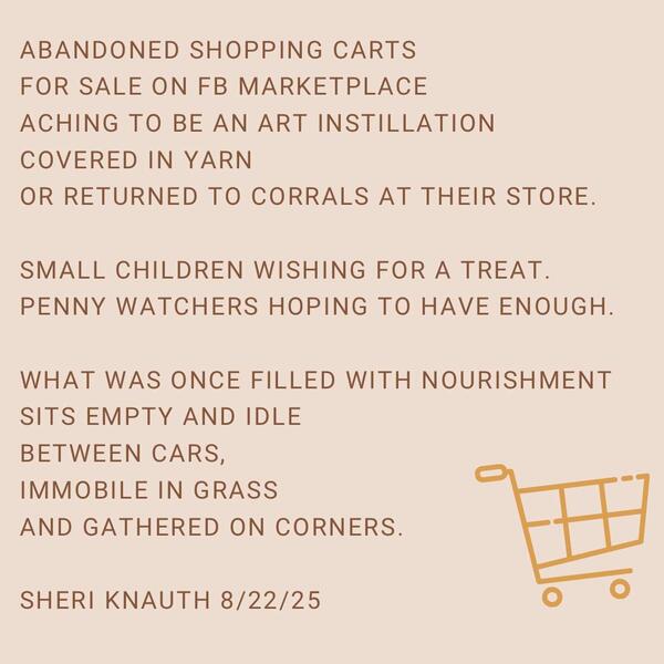 Shopping cart on marketplace