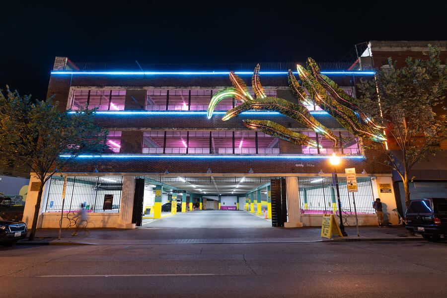 Big Ass Snake(plant)s On a Plane