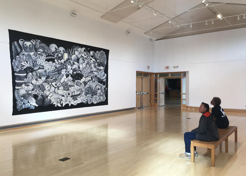 Installation image, Kay Gallery at BlackRock Center for the Arts