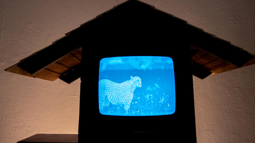 The Dead The Living And The injured-20.jpg