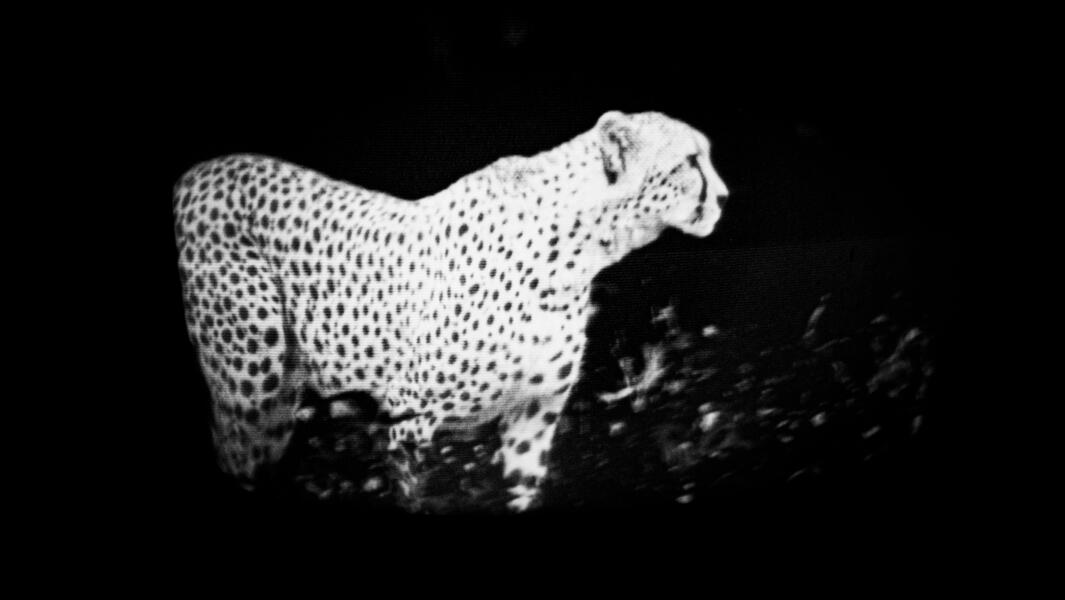 The Dead The Living And The injured-27.jpg