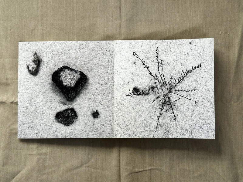 The Place In Between