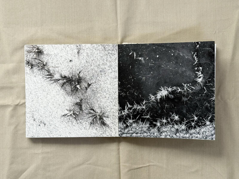 The Place In Between