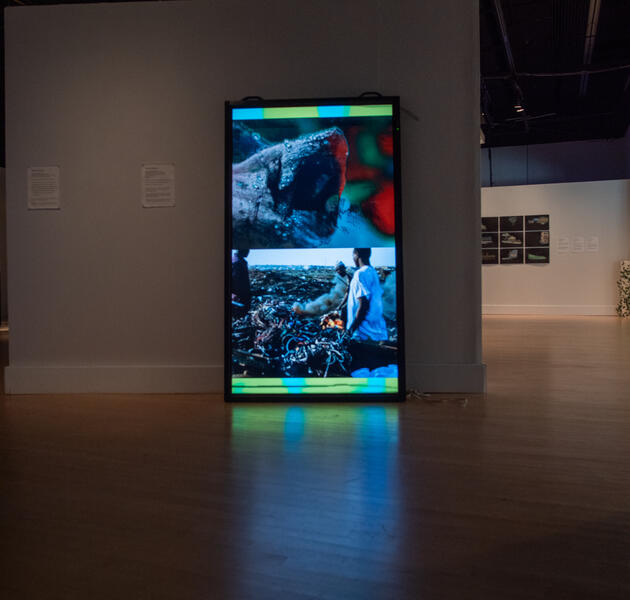 Gallery view of the abandoned mall monitor juxtaposing two of the multiple videos of an urban mining site and an enlarged flower