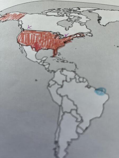 Where Does it Hurt (WORLD)