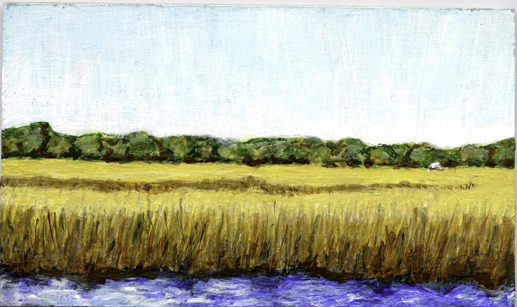 Uncle Daddy's backyard, Savannah, GA