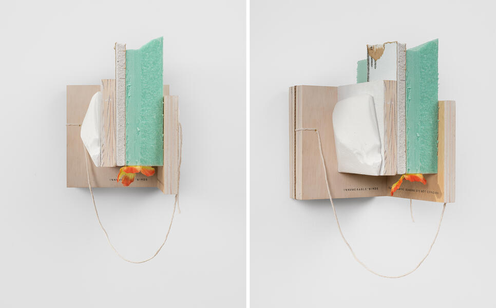 All the Birds of Paradise