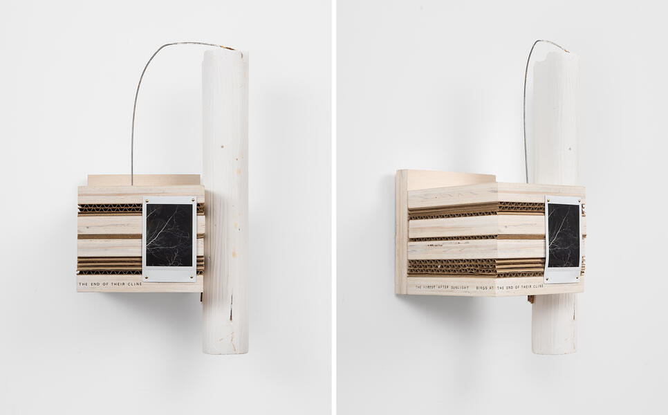 What Does the Sky Know?