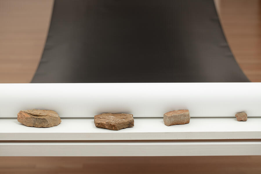 All That the Shadows Hold