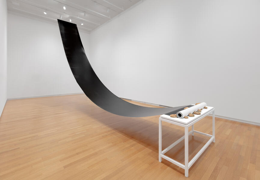 All That the Shadows Hold