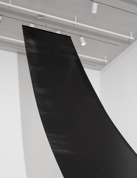 All That the Shadows Hold