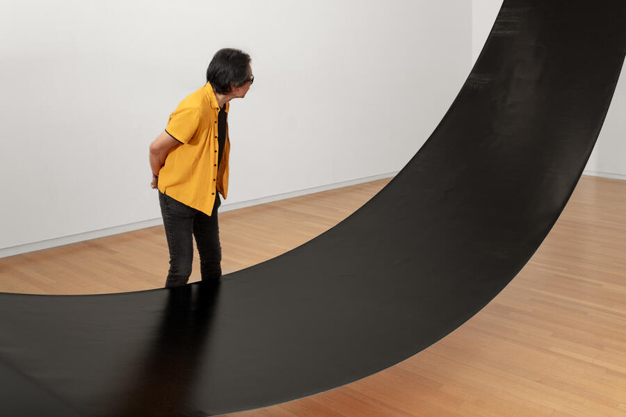 All That the Shadows Hold