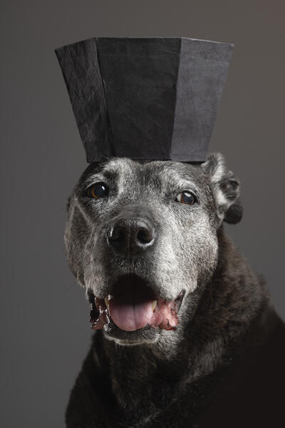 Good Girl in Paper Hats