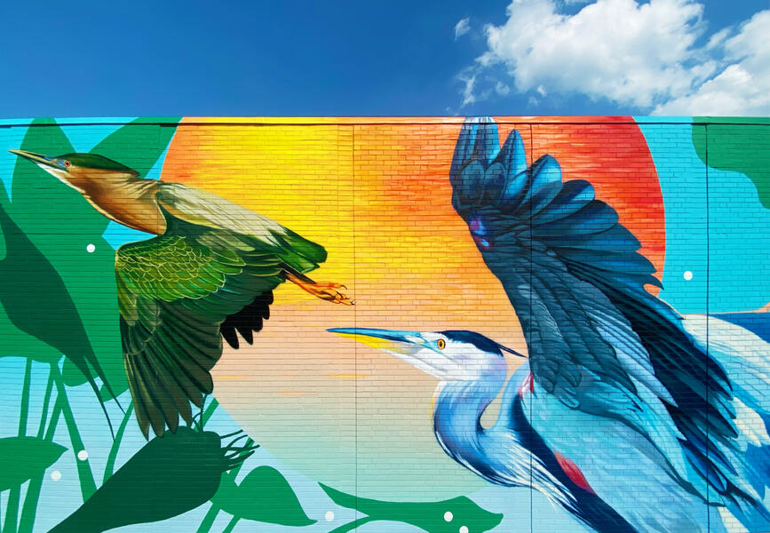 Chesapeake College Cambridge Center, Middle