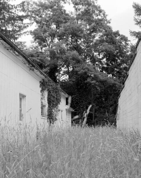 Fields of Remembrance