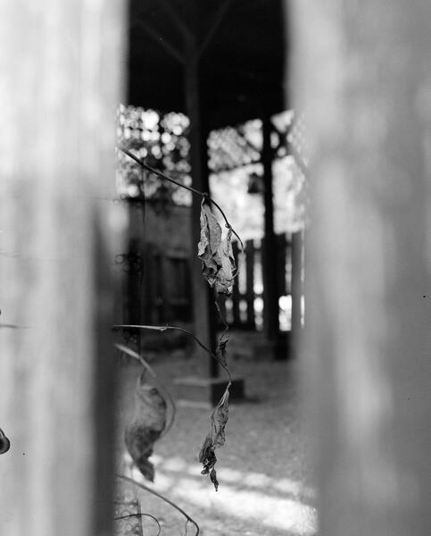 The High School Sweethearts' Spot