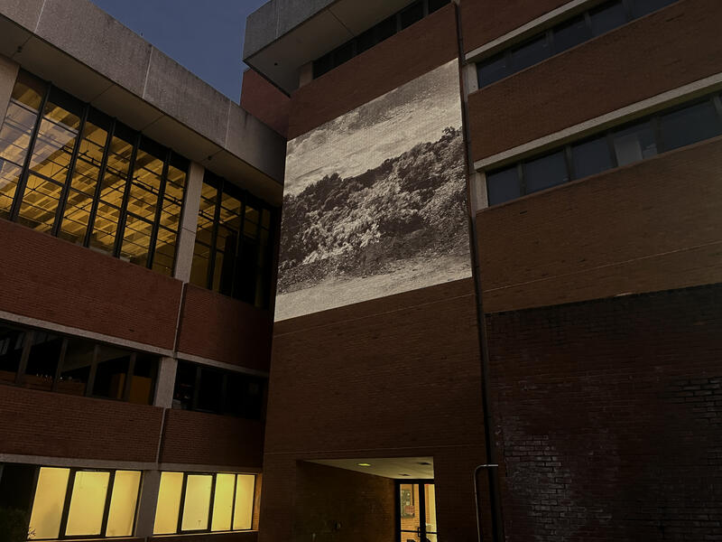 Conflux: Variation, Installation View, CADVC, 2025