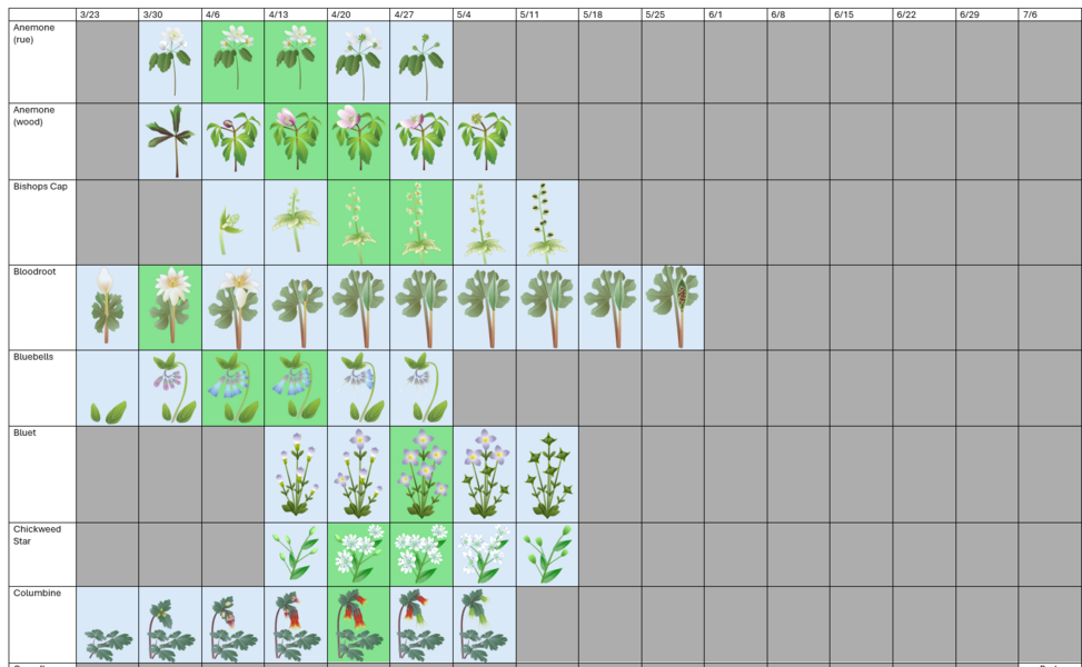 Data Collection Process