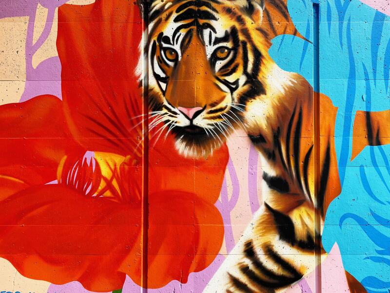 DC Walls 2021, Tiger and Nasturtium