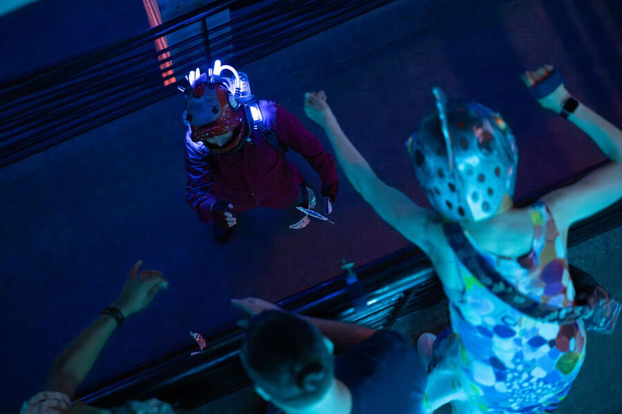 Submerged! In the Company of Fish