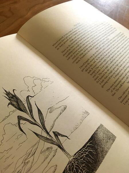 The Book of Stars: Stories of the Light Queen (Folktale Book Object View)