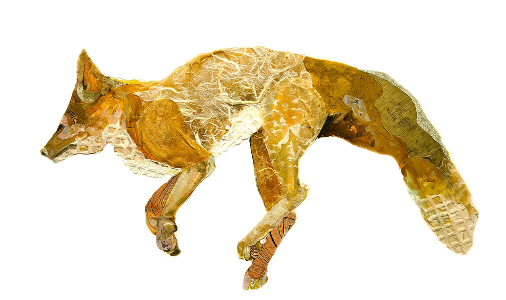 fox runneth over.jpg