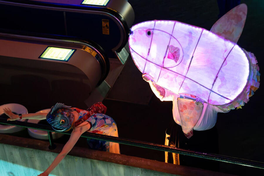 Submerged! In the Company of Fish