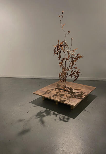 I Dreamt of Invasion