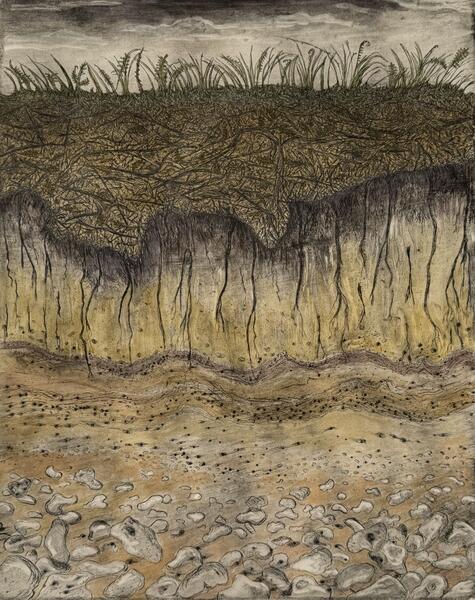 Covehithe Erosion Project