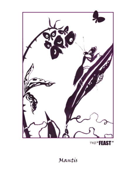 Mantis