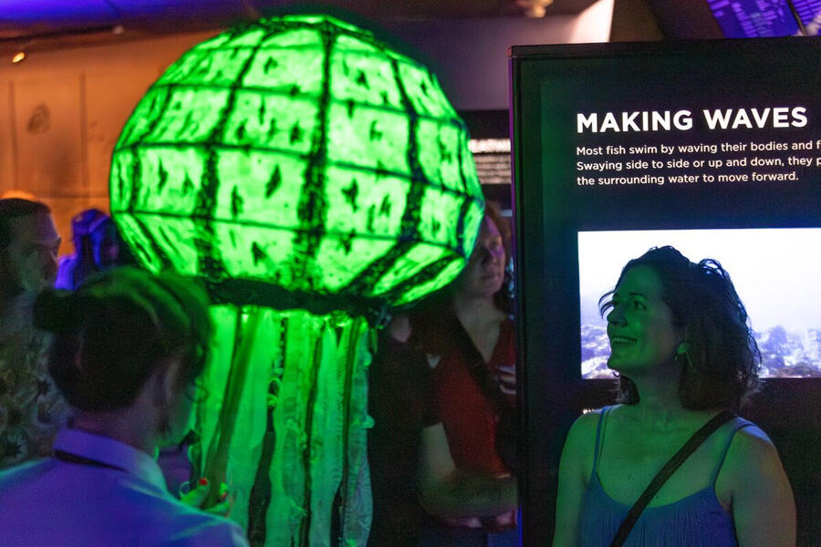 Submerged! In the Company of Fish