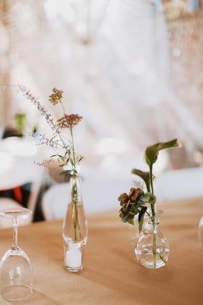 The Brick Hill Plant Lab