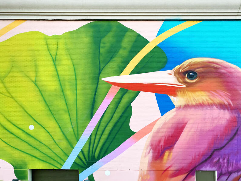 DC Walls 2020, Left Kingfisher