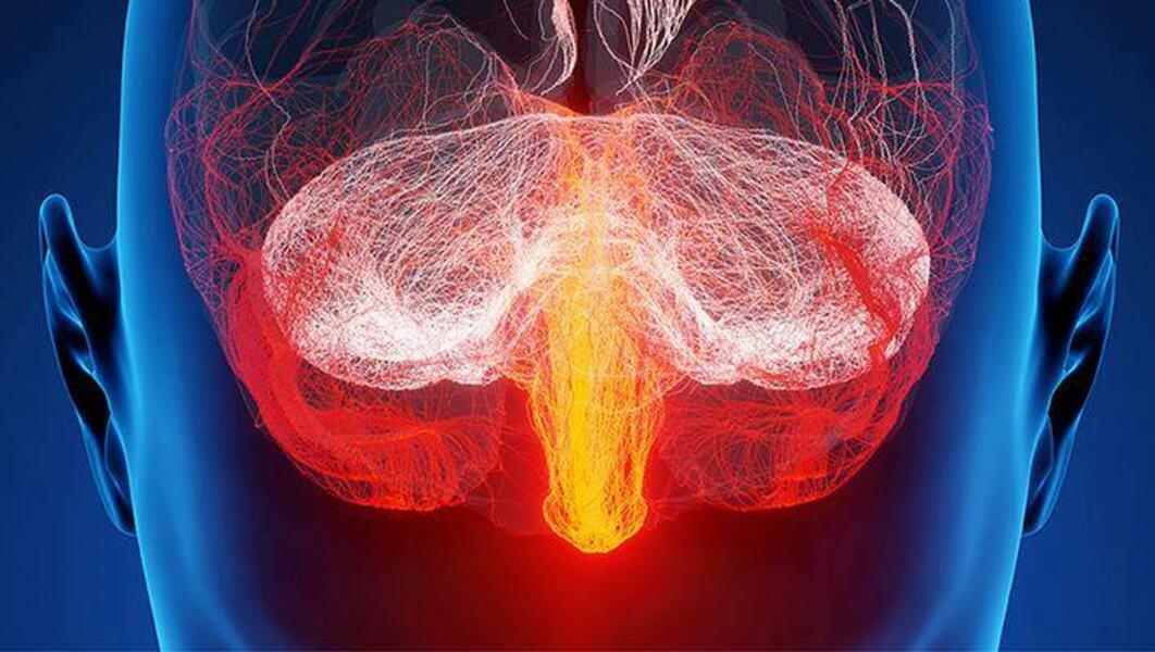 International Science Networks + Collaboration: The Neuroscience of Art featuring such participants as Shodekeh (Towson University), Ariane Koek (Arts @ CERN) & Dr. Sophie Scott (UCL Brain Sciences) @ Salzburg Global, 2015.