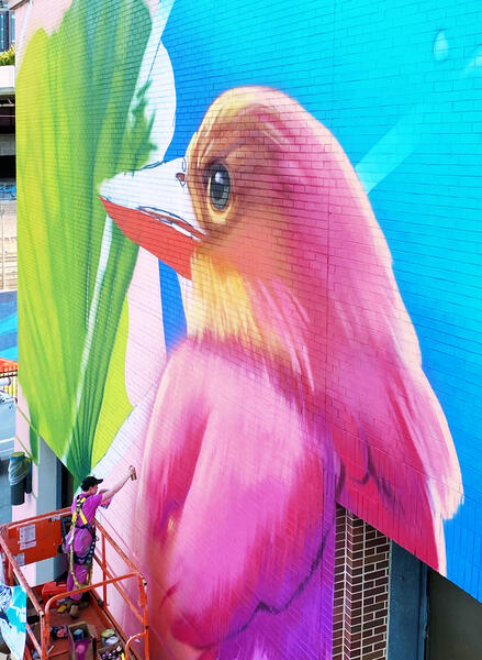 DC Walls 2020, In Progress