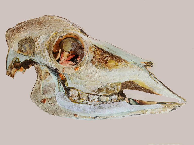 Skull I 