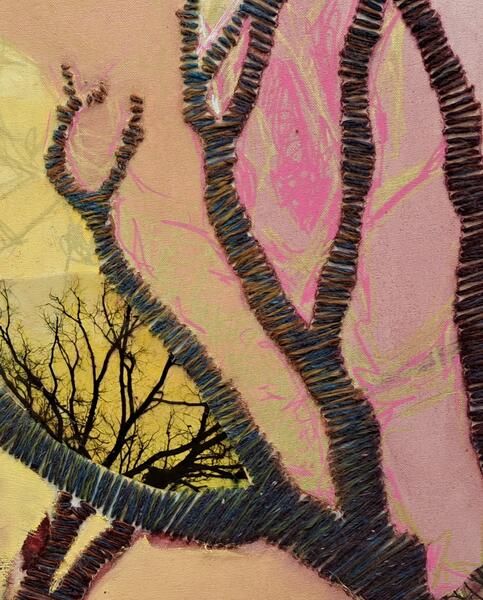 Plastic Trees Untitled