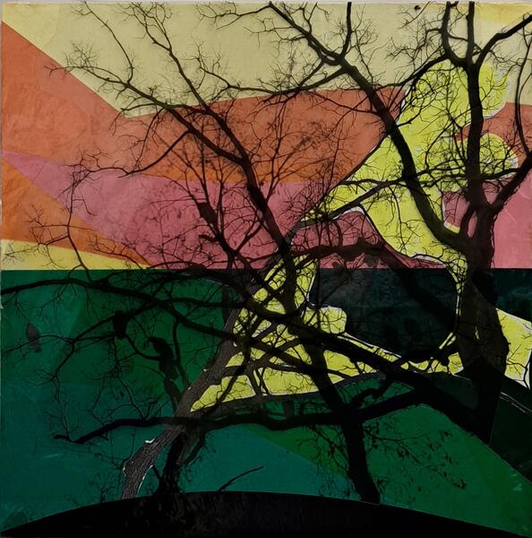 Plastic Trees Untitled