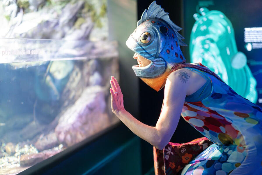 Submerged! In the Company of Fish