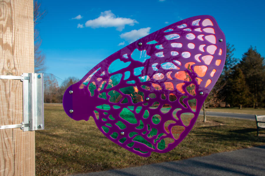 Park Heights Pathways 