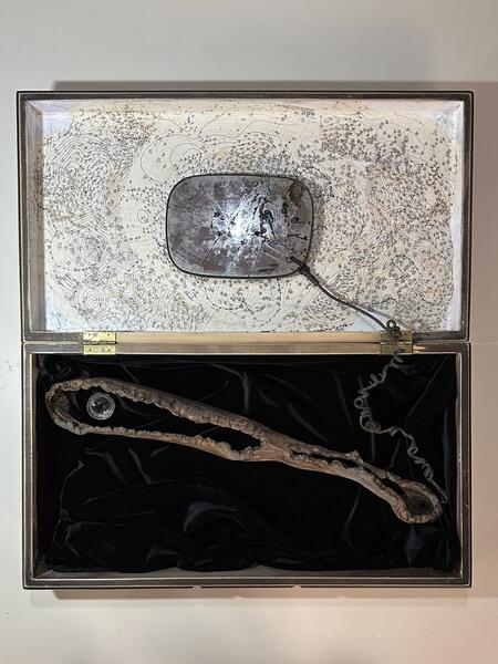 Shaman's Healing Kit: Trauma-Insight