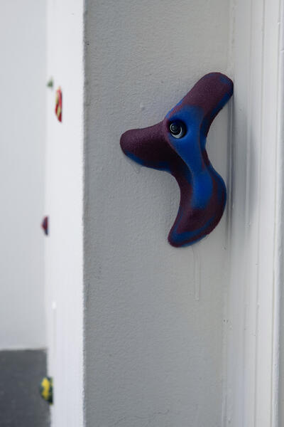 Grope, 2020. silicone, metal hardware, carpet dimensions variable 