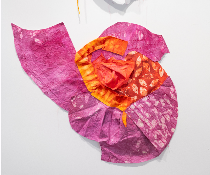 finding harmony in contradictions