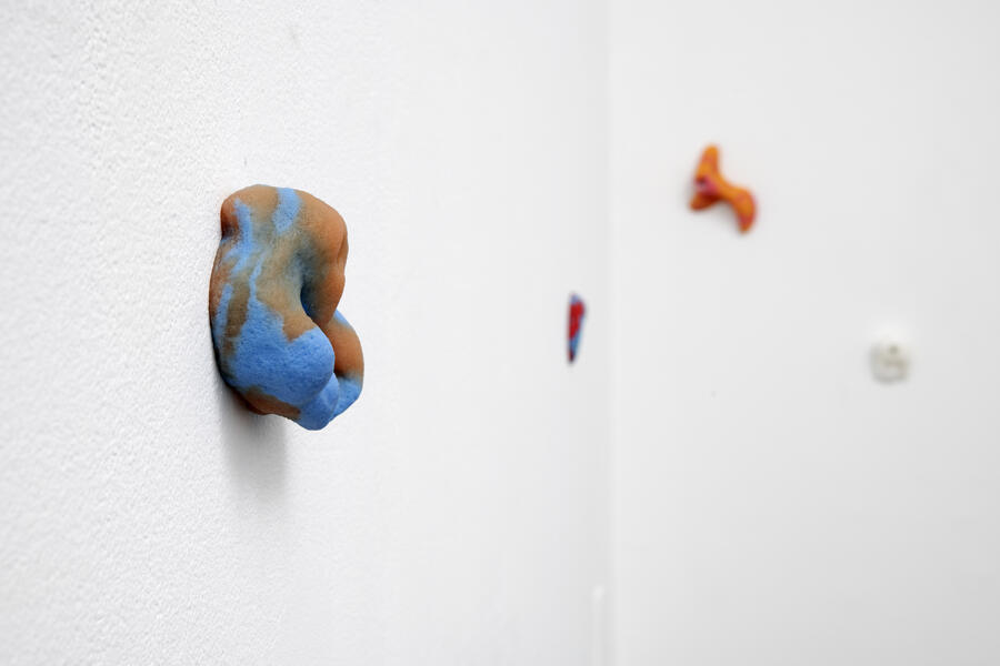 Grope, 2020. silicone, metal hardware, carpet dimensions variable 