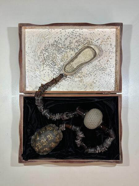 Shaman's Healing Kit: Fear- Curiosity